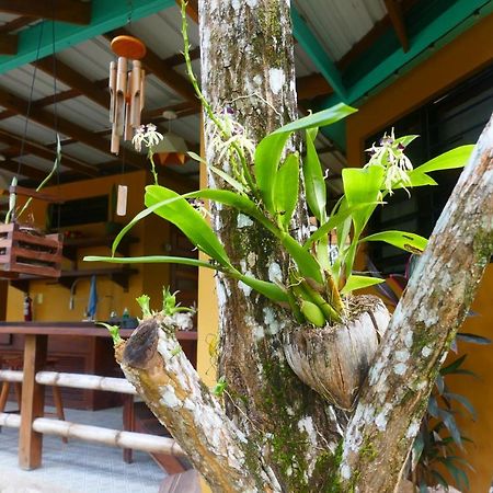 Riverhill Hideaway Monkey Fall ภายนอก รูปภาพ