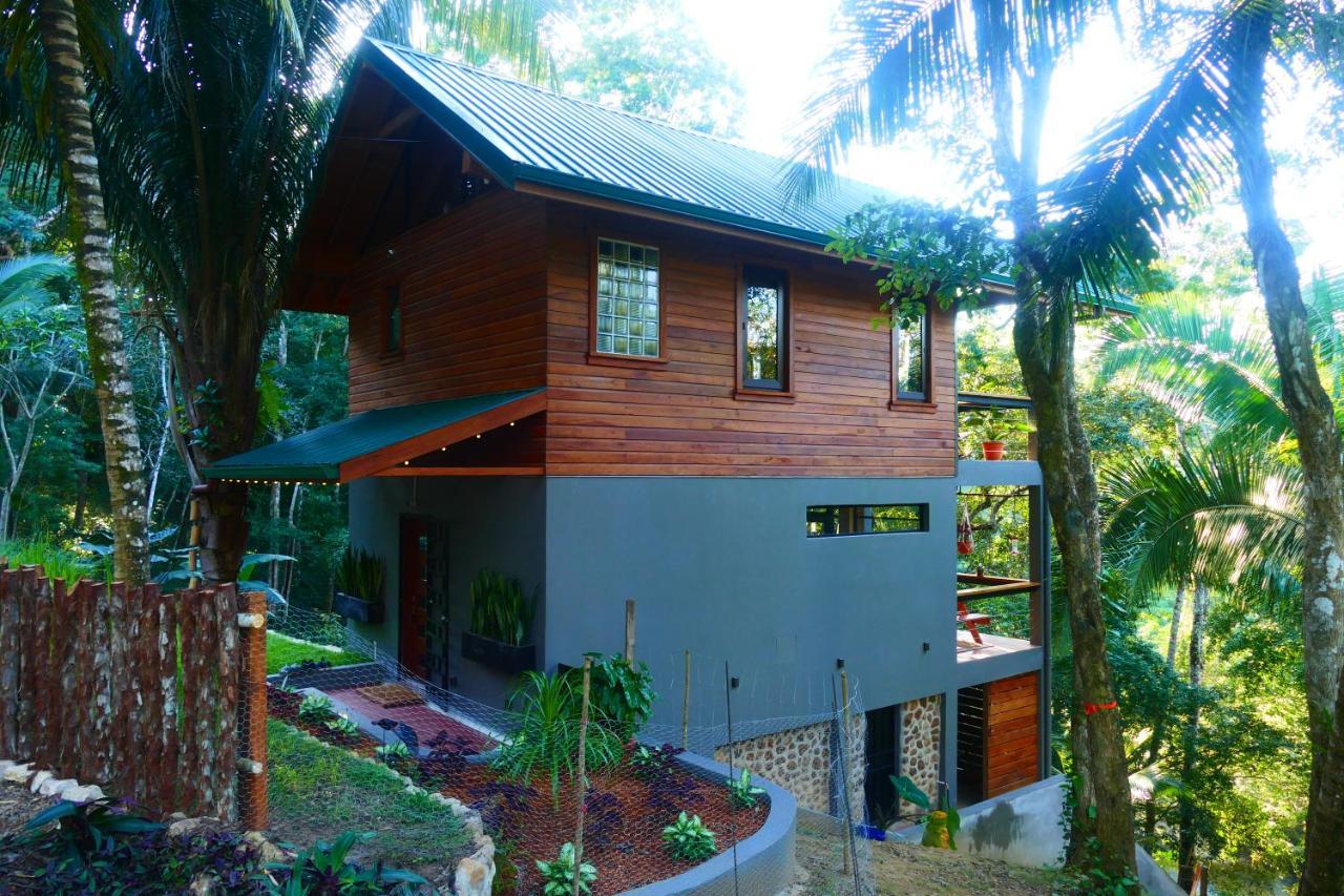 Riverhill Hideaway Monkey Fall ภายนอก รูปภาพ