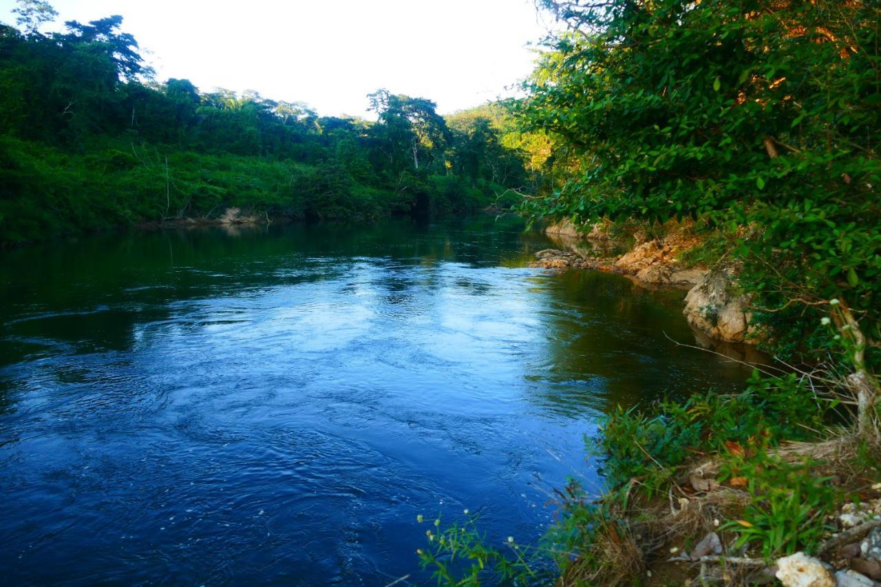 Riverhill Hideaway Monkey Fall ภายนอก รูปภาพ