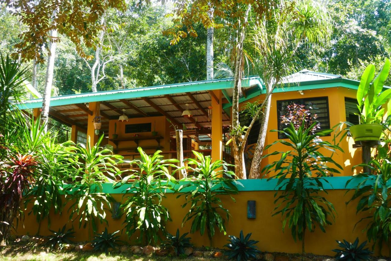 Riverhill Hideaway Monkey Fall ภายนอก รูปภาพ