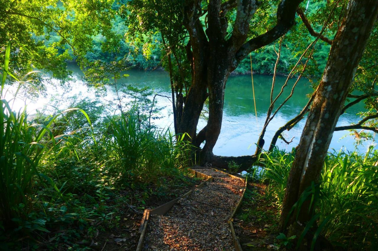 Riverhill Hideaway Monkey Fall ภายนอก รูปภาพ