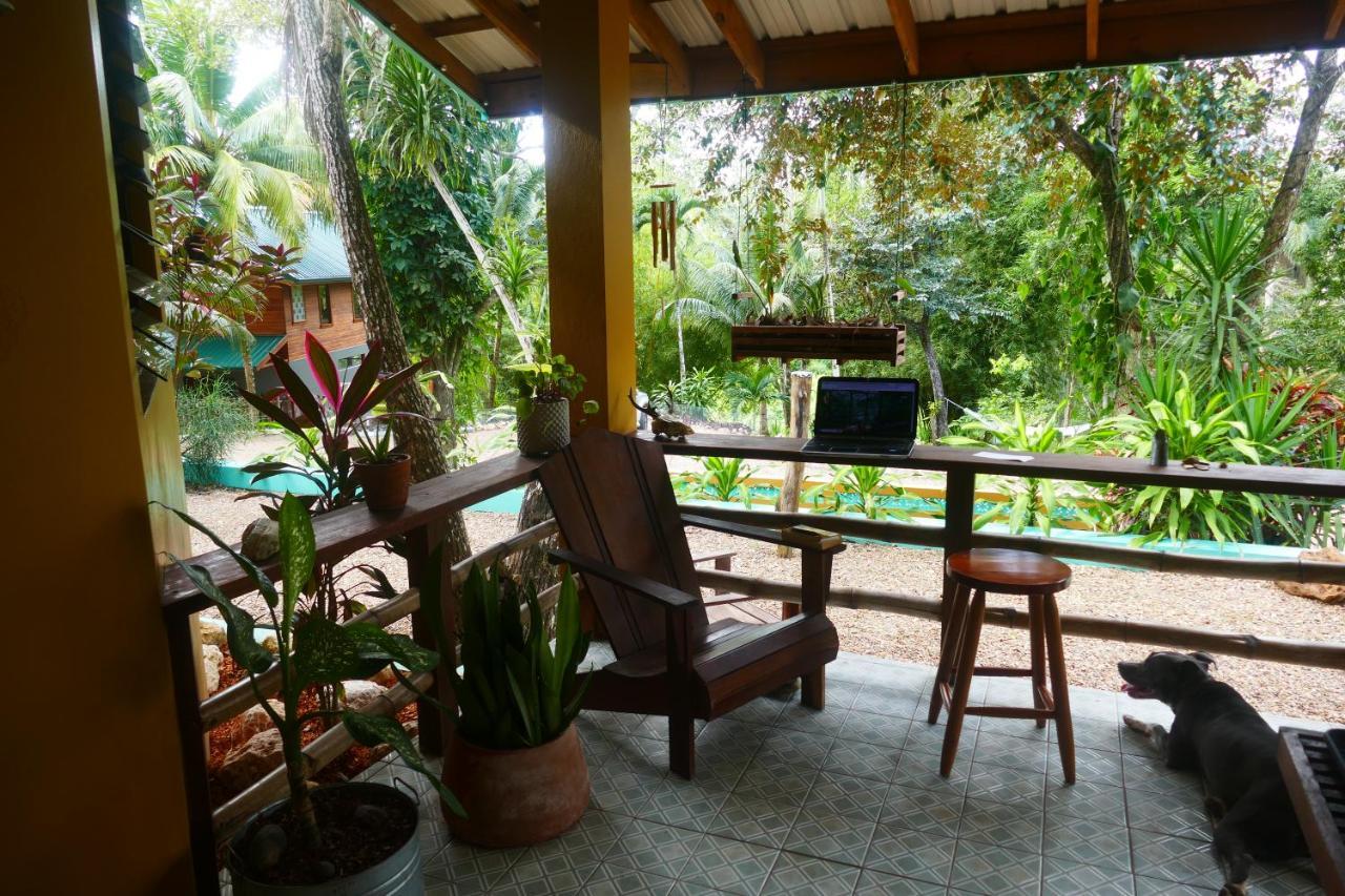 Riverhill Hideaway Monkey Fall ภายนอก รูปภาพ