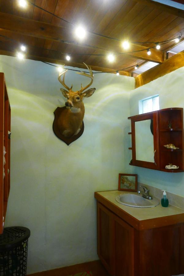 Riverhill Hideaway Monkey Fall ภายนอก รูปภาพ