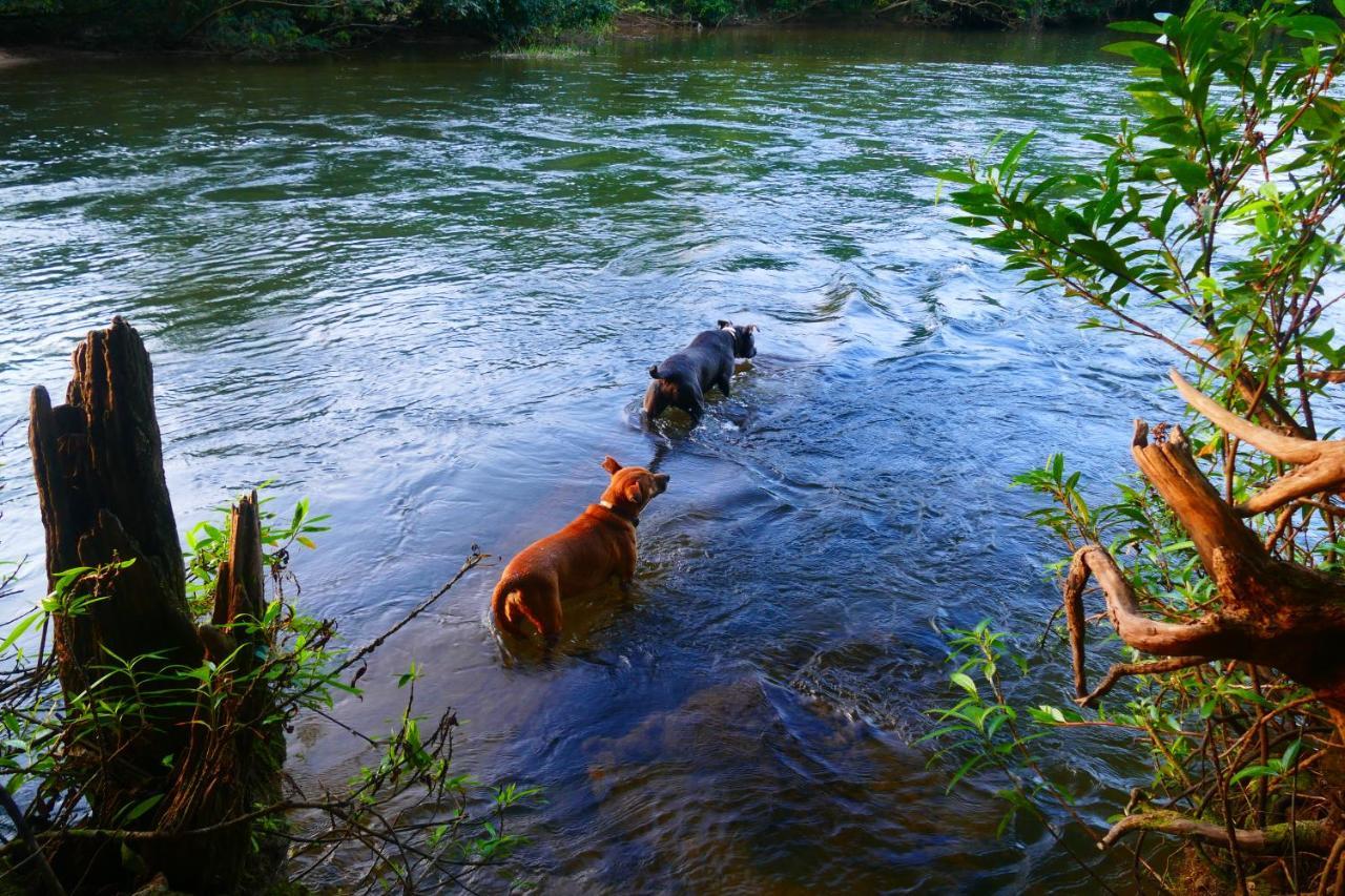 Riverhill Hideaway Monkey Fall ภายนอก รูปภาพ