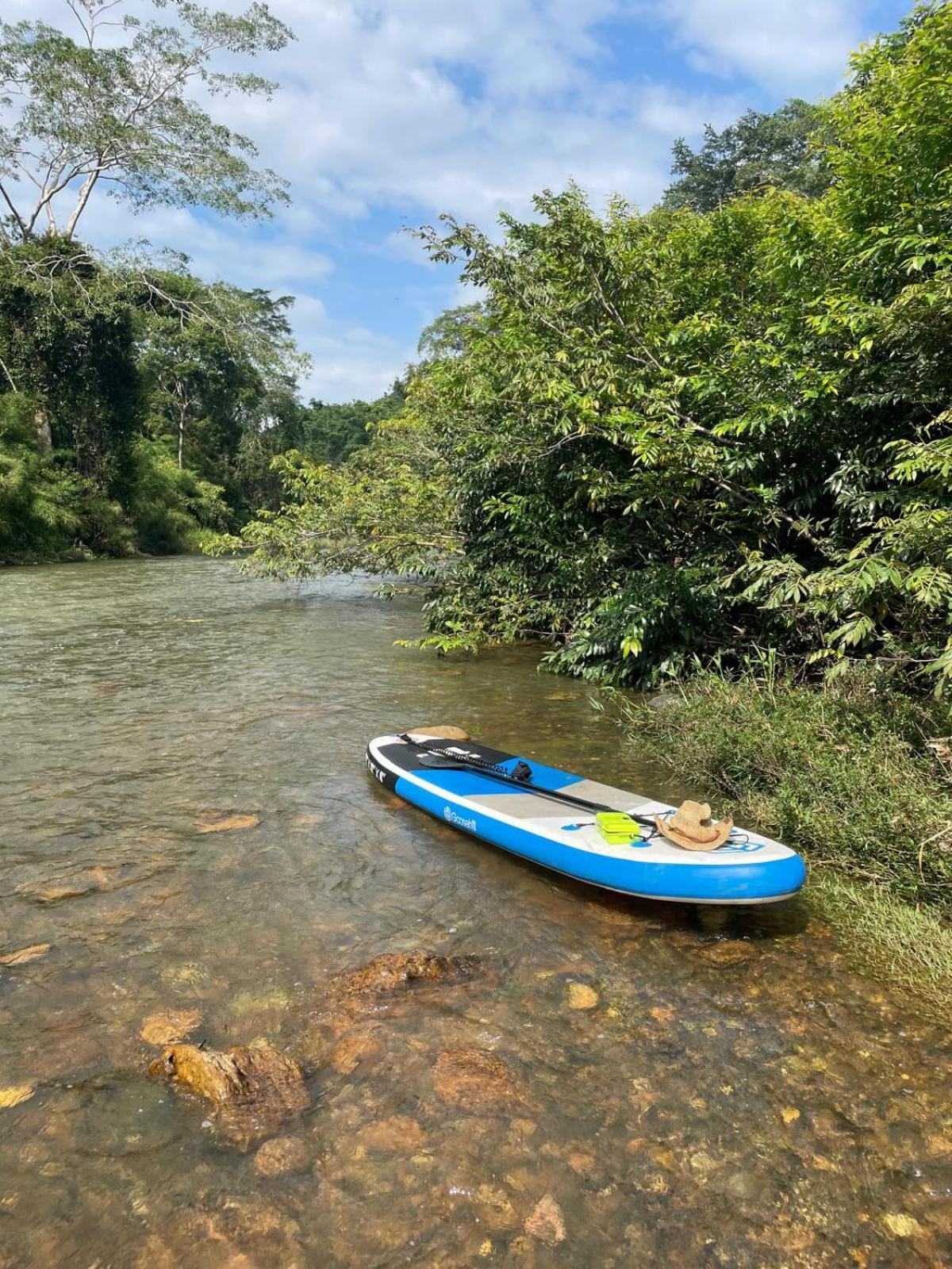 Riverhill Hideaway Monkey Fall ภายนอก รูปภาพ